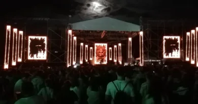 д фестивал
