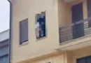 девојка тетово