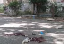 Чичко Југо, загина под својот прозорец од мотор кој бегал од полиција