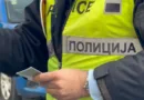 Тепачка во парк во Пинтија