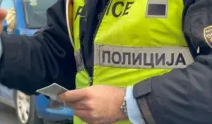 Тепачка во парк во Пинтија