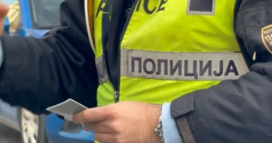 Тепачка во парк во Пинтија