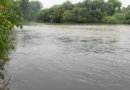 Продолжува потрагата по 16-годишно девојче во Вардар