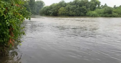Продолжува потрагата по 16-годишно девојче во Вардар