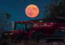 A full corn moon rises over a soybean harvest at malkow farms in monroe wisconsin on september 17 2024 photo by ross harried nurphoto via getty images