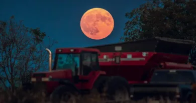 A full corn moon rises over a soybean harvest at malkow farms in monroe wisconsin on september 17 2024 photo by ross harried nurphoto via getty images