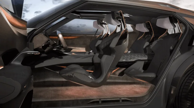 Cupra tindaya Хибрид 11