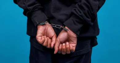 Лисици Апсење Уапсен Маж