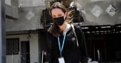 анџелина џоли