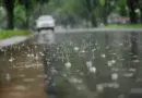 невреме македонија